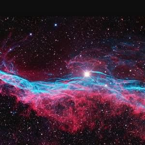 Meet your Posher, Dayle